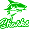 Hedingham Sharks Swim Team