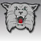 Canton South Alumni And Friends Foundation