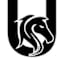 Unbridled Heroes Project