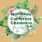 Northern California Chamorro Club