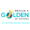 Rescue A Golden of Arizona