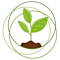 Cultivating Beloved Community