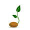 Seeds of Change Coalition Inc
