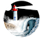 The Black Tide Educational Guild