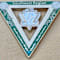 Southeast Region of Chi Eta Phi Sorority, Incorporated