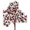 Scott County Community Foundation