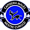 Capoeira Males