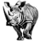 Southern Africa Field Conservation Project