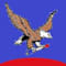 National Juneteenth