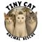 Tiny Cat Animal Rescue