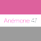 Anémone 47
