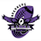 H.A.W.K.S. Youth Sports Inc