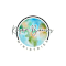 Kingdom Branches Ministries