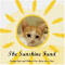 The Sunshine Fund Cat Rescue