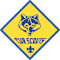Cub Scout Pack 91