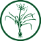 charleston horticultural society