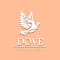 DOVE Studios