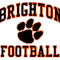 Brighton Area Schools