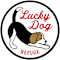 lucky dog refuge