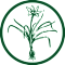 charleston horticultural society