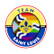 Team Saint Louis
