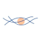 The Corneal Dystrophy Foundation