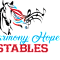 Harmony Hope Stables