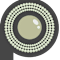 The Pearls of Distinction Foundation, Inc