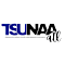 Tennessee State University National Alumni Assoc Atlanta Chapter Inc