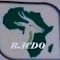 Rochester African Community Development Organization
