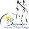Barnabas Horse Foundation