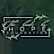 The Heidi Ho Hope Foundation