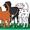 Happy Tails Dog Park