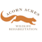Acorn Acres Wildlife Rehabilitation