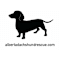 Alberta Dachshund Rescue