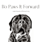 Bo Paws-it-forward Inc