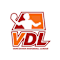 Vancouver Dodgeball League