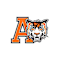 Amherst Central Schools Foundation Inc