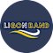 Ligon Arts Boosters Inc
