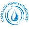 Capillary Wave Community
