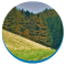 Yorkshire Wolds Music Foundation