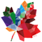 National Council on Canada Arab Relations