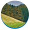 Yorkshire Wolds Music Foundation