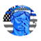 Fallen Justice