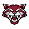 Bethel Youth Football and Competitive Cheer