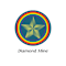 Diamond Mine Academy Organization