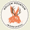 Hollow Mountain