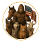American Animal Alliance