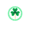 Tulsa IrishFest Inc