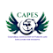 Chaparral Association of Parents and Educators for Students